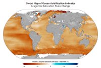 ocean acidification indicator 2024